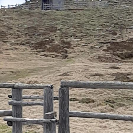 Fruhstuckspension Bischof I D Wiesen Sankt Peter am Kammersberg Exteriör bild