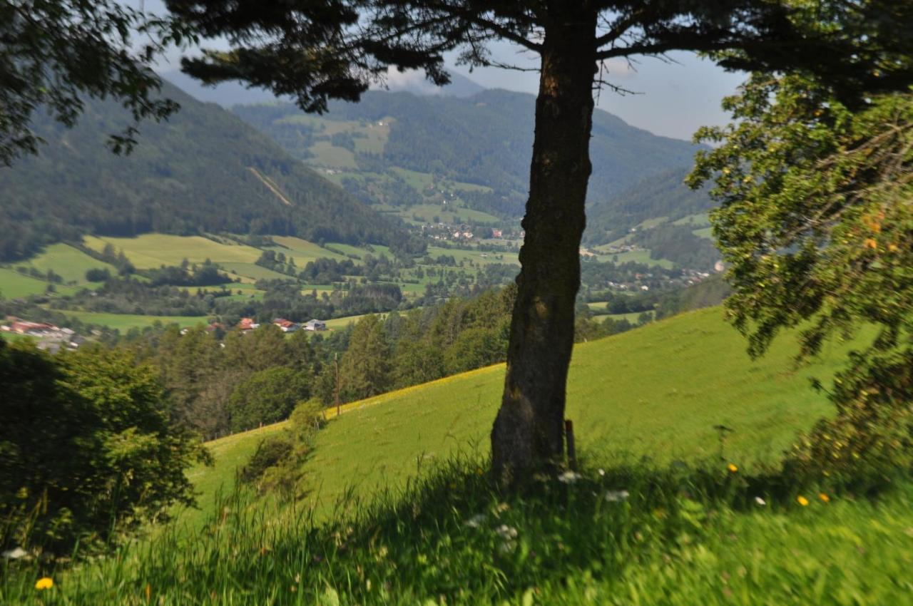 Fruhstuckspension Bischof I D Wiesen Sankt Peter am Kammersberg Exteriör bild