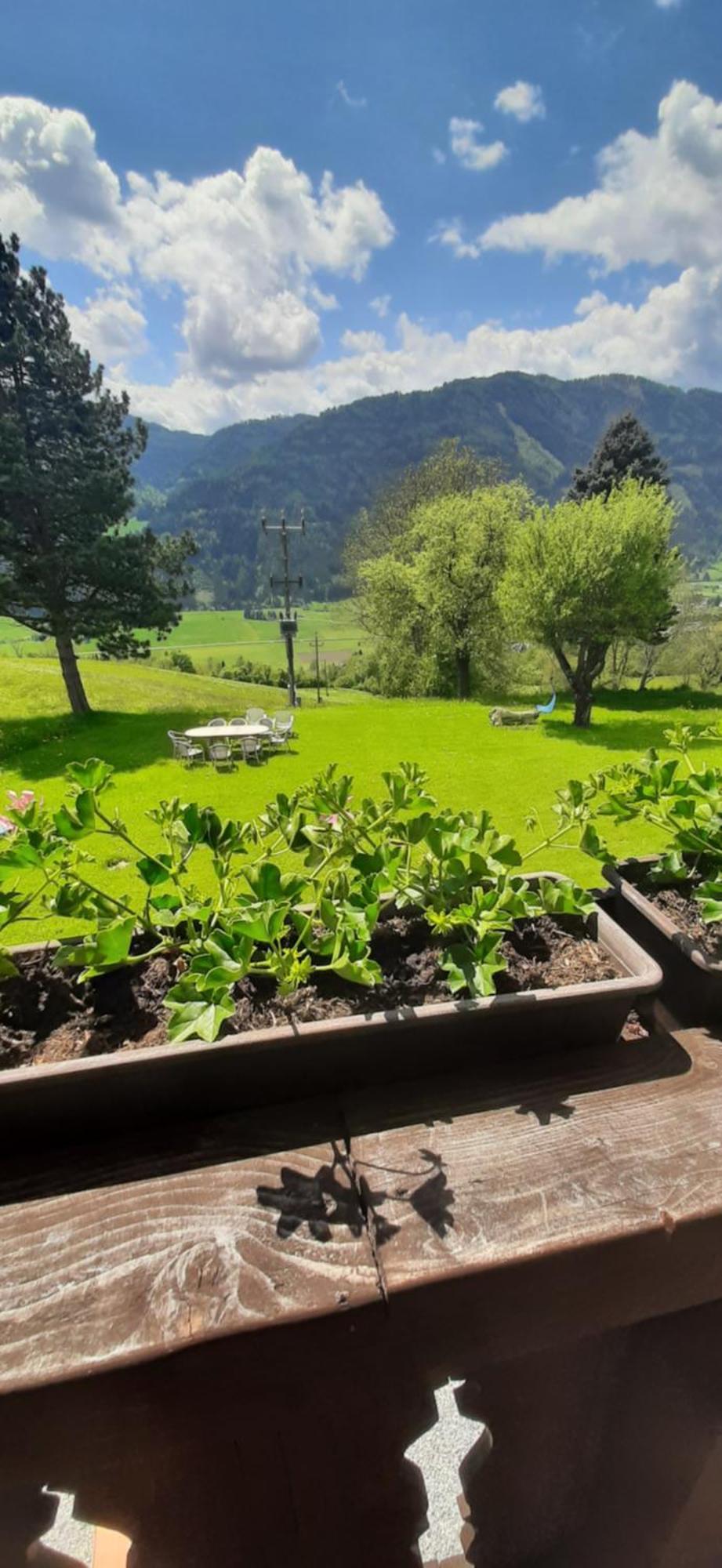 Fruhstuckspension Bischof I D Wiesen Sankt Peter am Kammersberg Exteriör bild